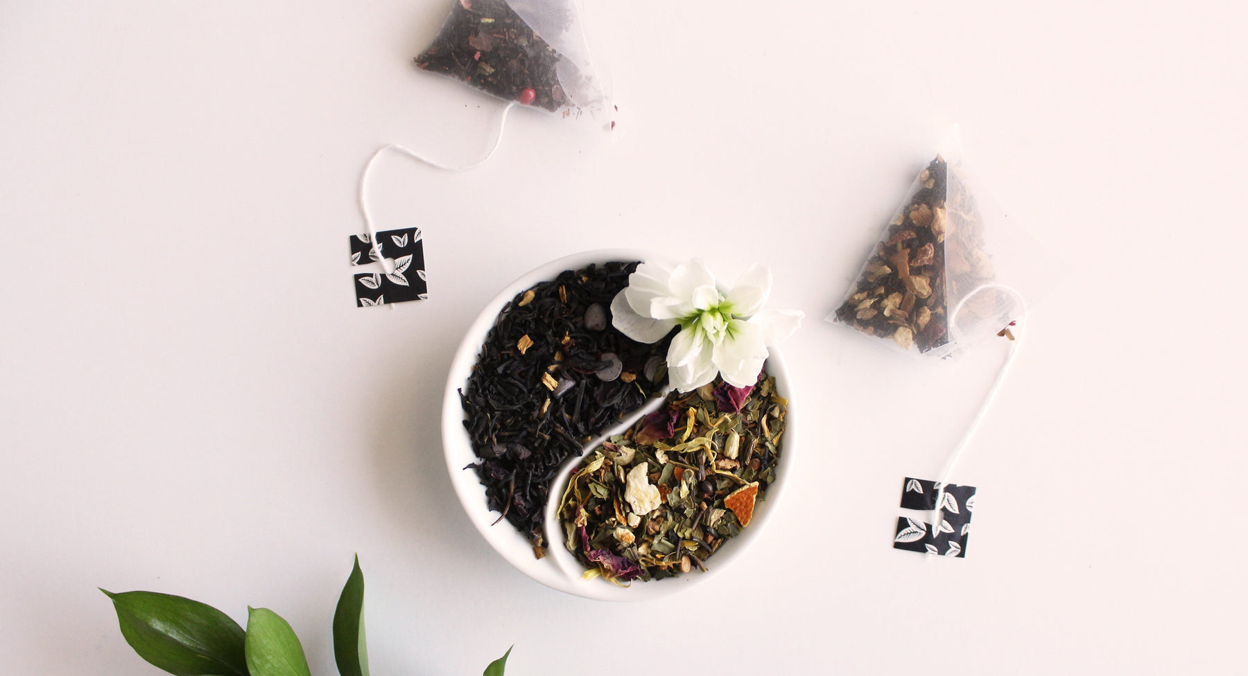 LOOSE LEAF TEA OR TEA BAGS: IS THERE A REAL DIFFERENCE?