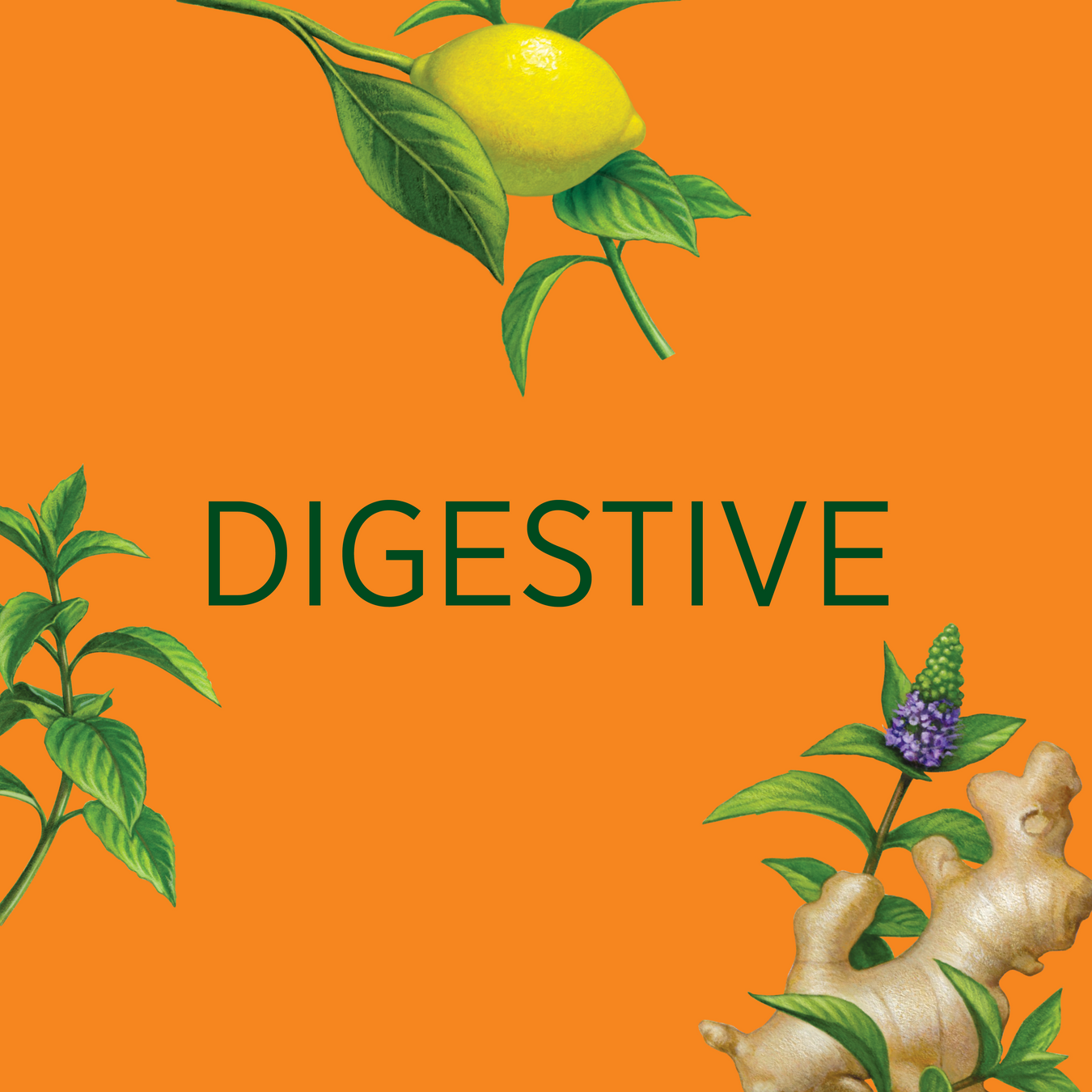DIGESTIVE