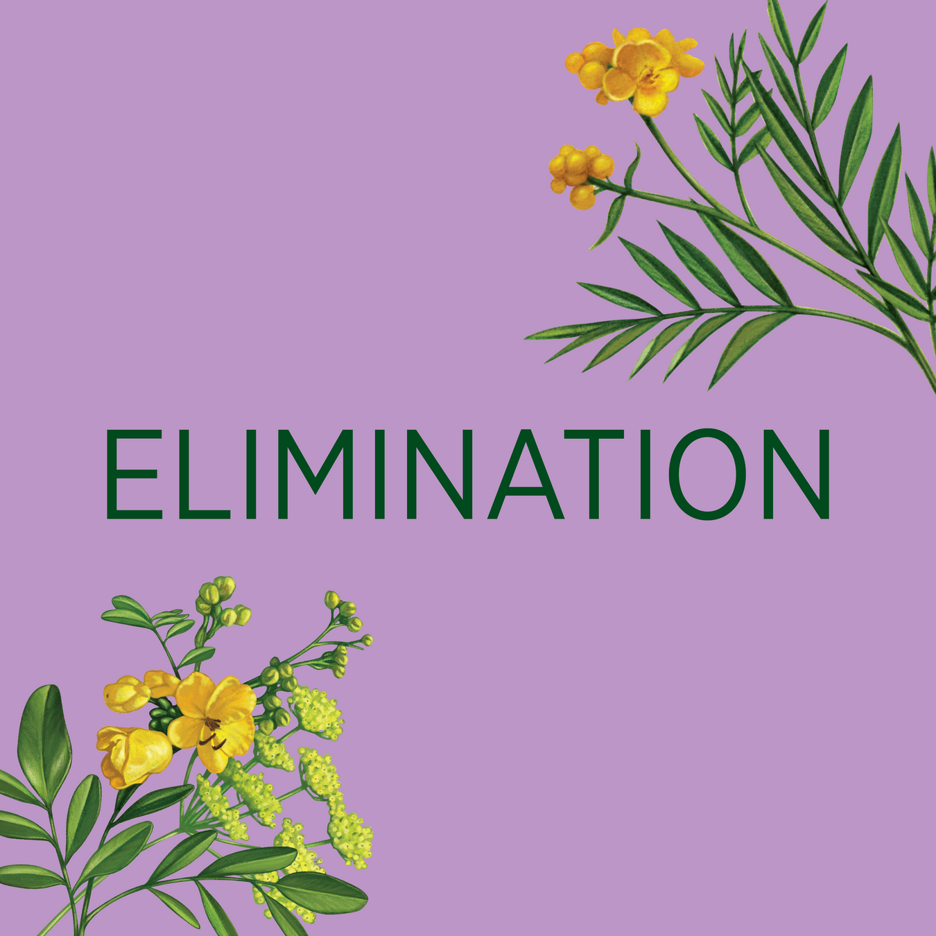 ELIMINATION