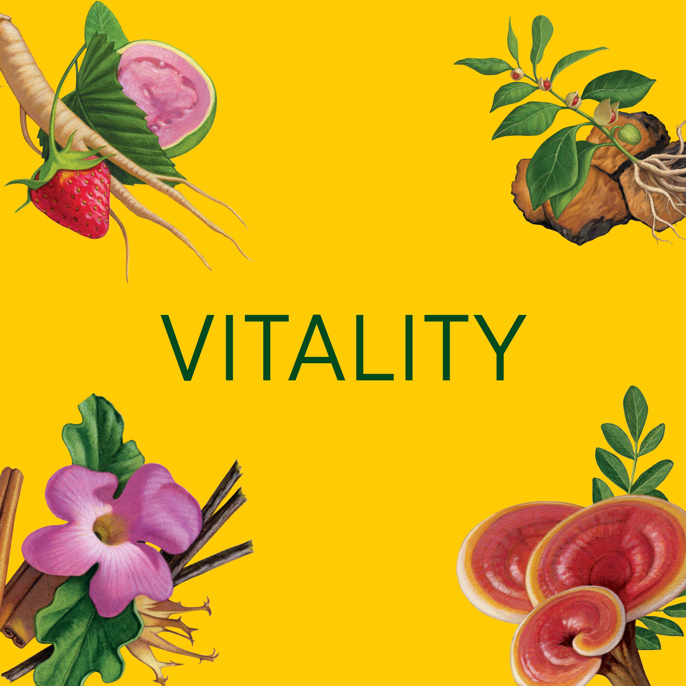 VITALITY