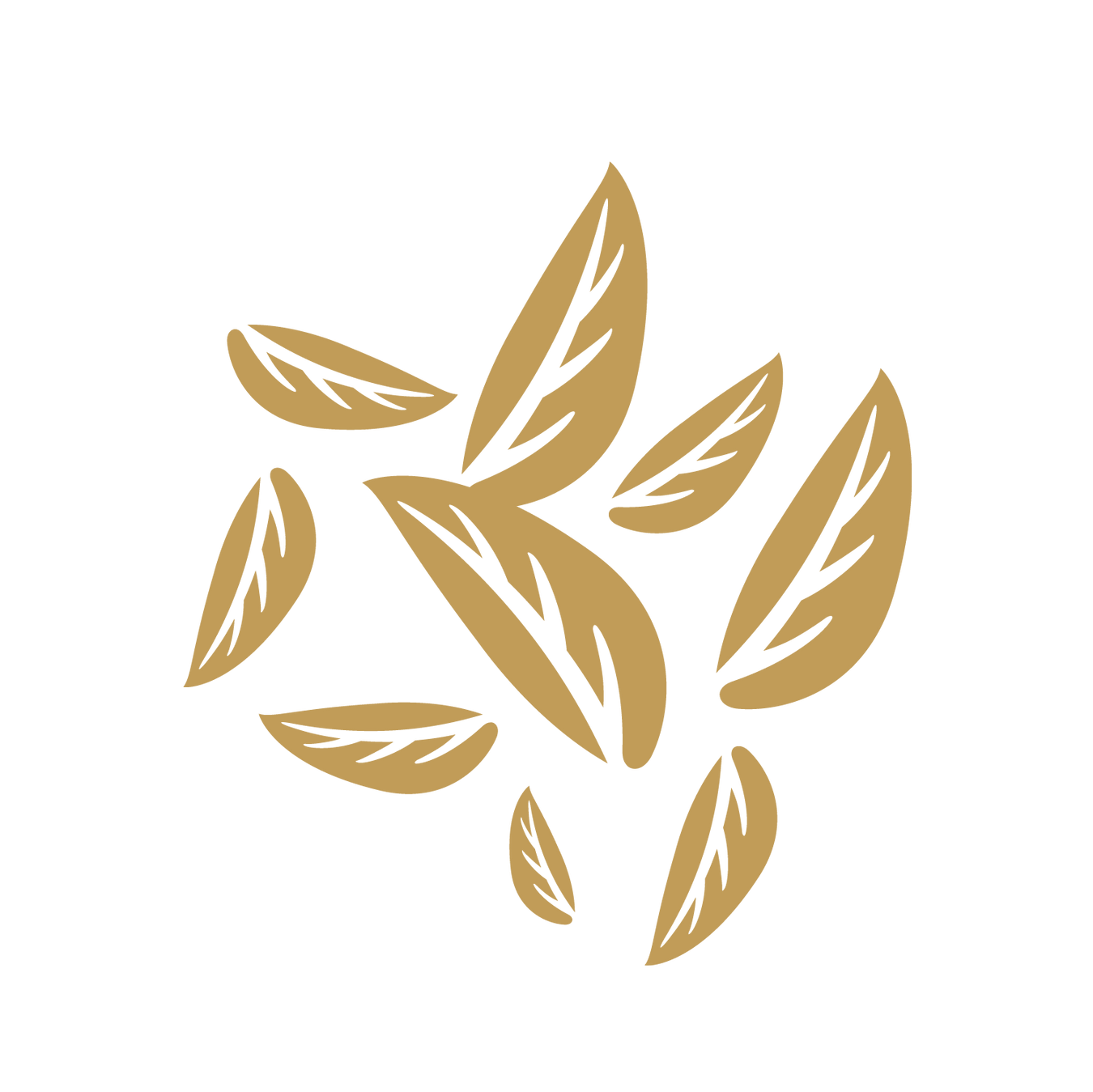 Fairtrade: Loose Leaf