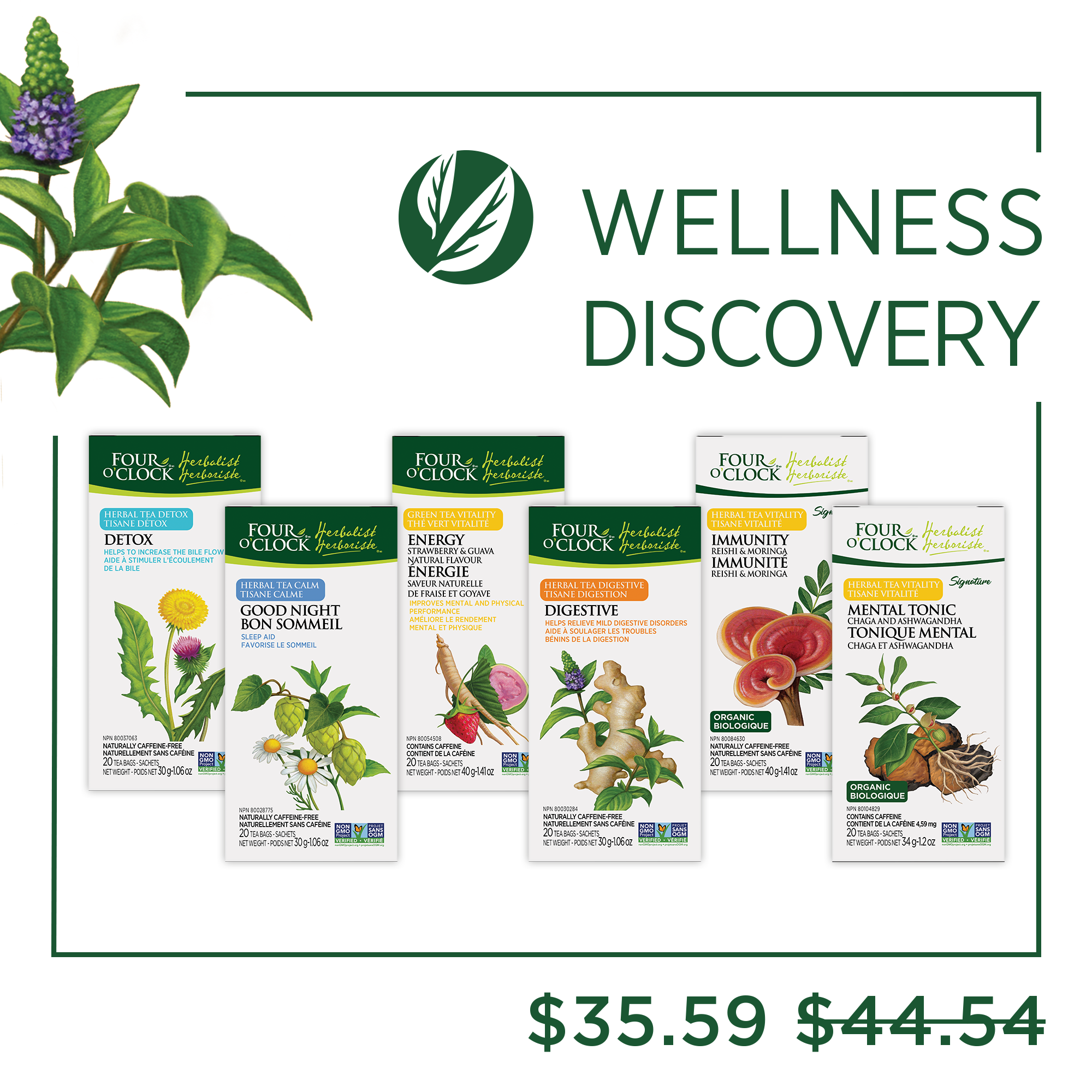 Wellness Discovery Bundle